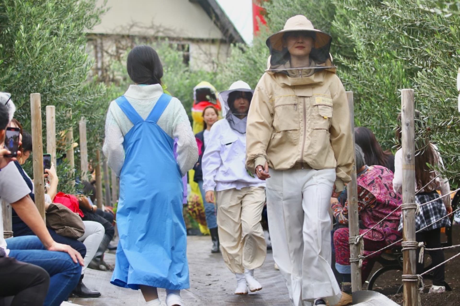 オリーブ畑のランウェイ