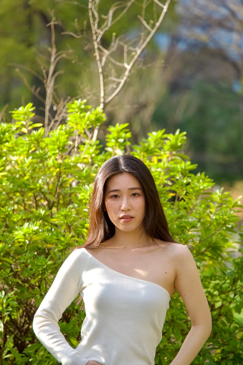 Model B