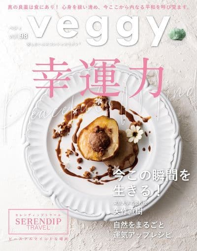 【雑誌veggy掲載】エシカルモデルによるnico cookプロモーション