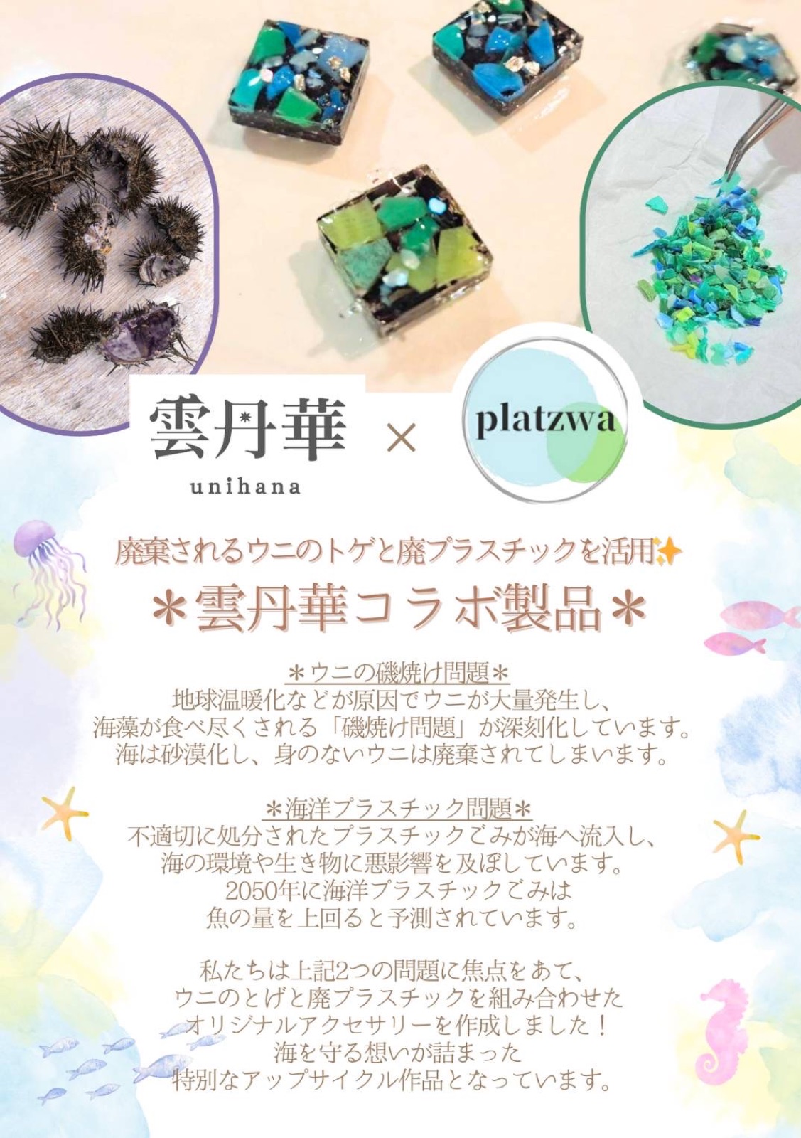 【雲丹華】Platswaとパートナー連携し作品制作＆販売